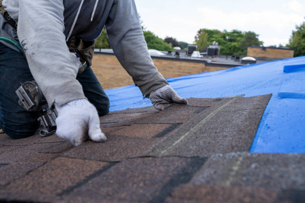 Best Roof Repair Services  in Westke, LA