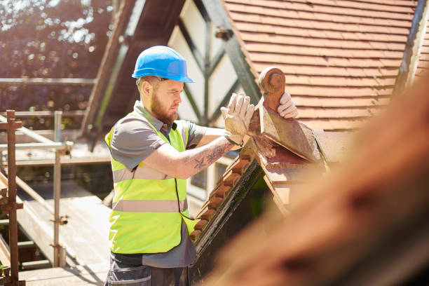 Best Roof Gutter Cleaning  in Westke, LA